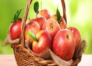 Табобати бемориҳои камхунӣ ва заифшавии масуният.